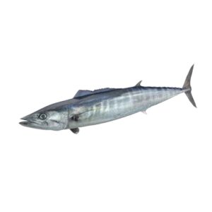 Pescado de mar Serrucho 5lb