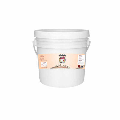 Helado Ikoko sabor Tiramisu 4Lt