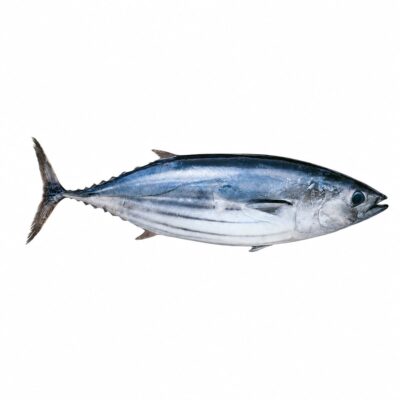 Pescado de mar Bonito 12lb
